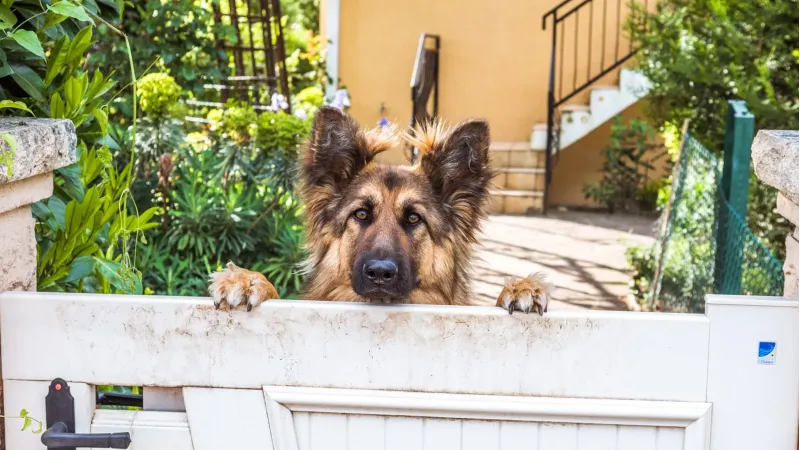 Haus absichern &ndash; So sch&uuml;tzen Sie Ihr Zuhause effektiv vor Einbruch und Diebstahl